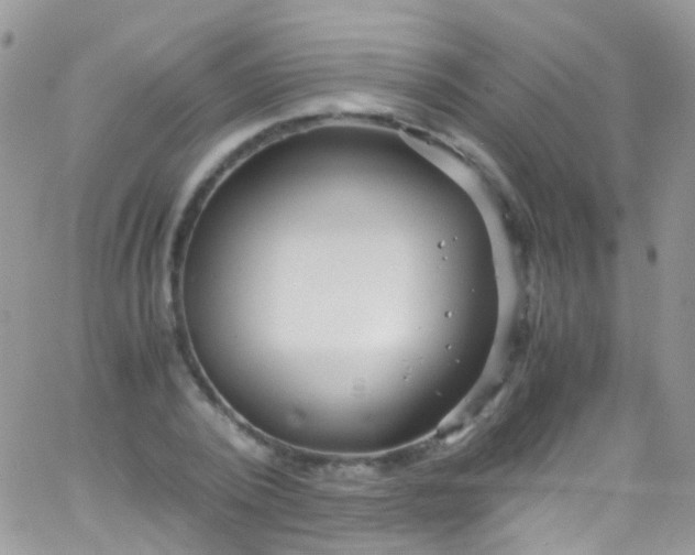 X0000066000784200603172204