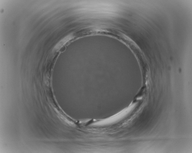 X0000066000785200603172204