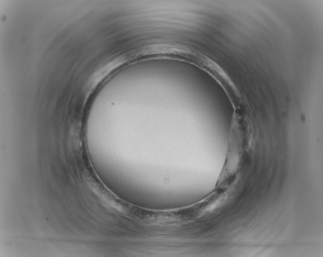 X0000066000786200603172204