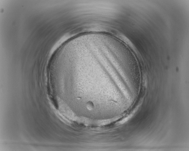 X0000066000787200603172204