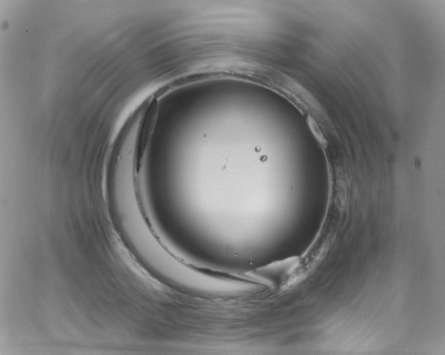 X0000066000788200603172204