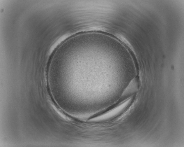 X0000066000789200603172204