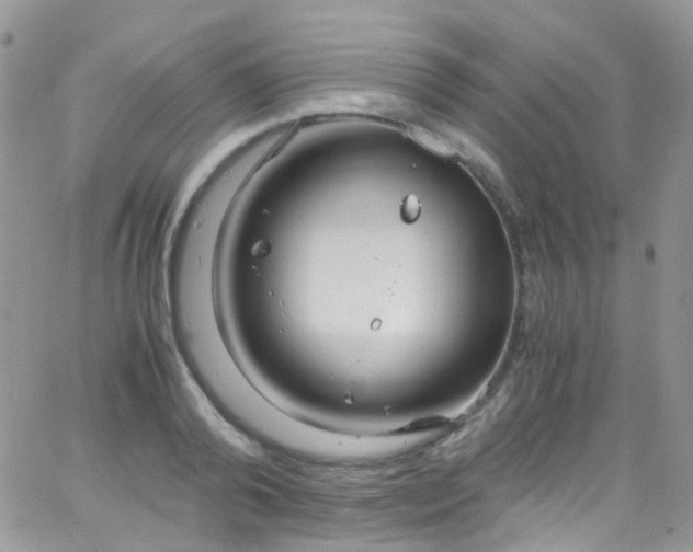 X0000066000792200603172204