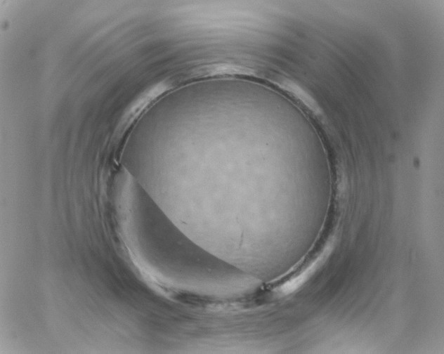 X0000066000793200603172204