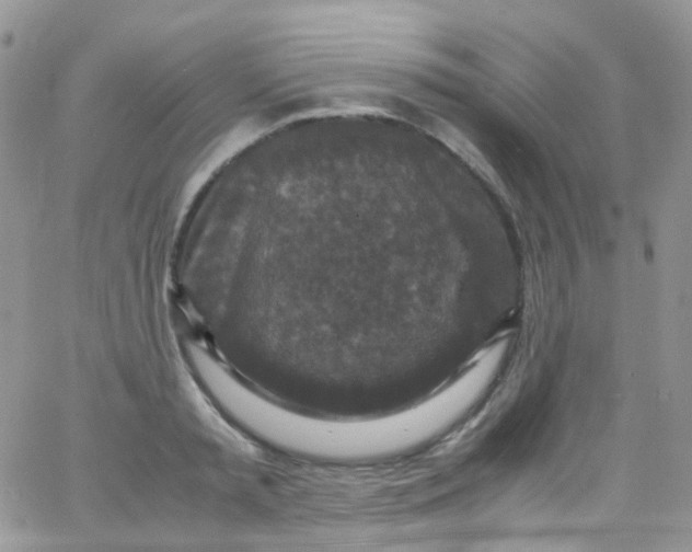 X0000066000797200603172204