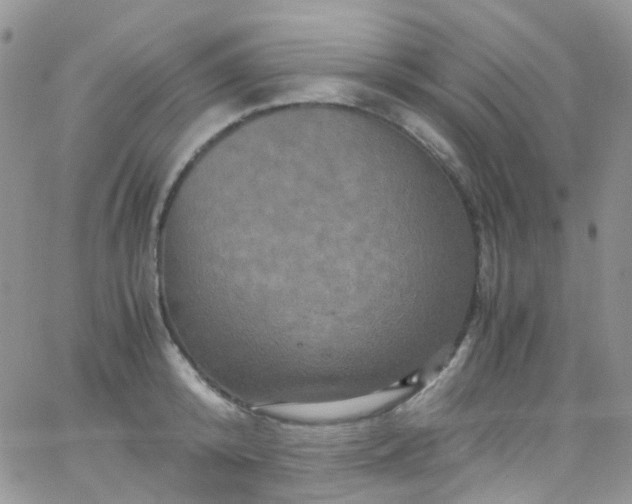 X0000066000800200603172204