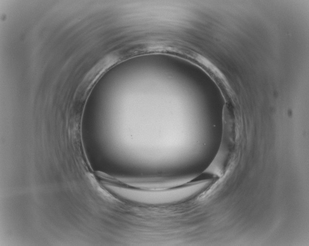 X0000066000801200603172204