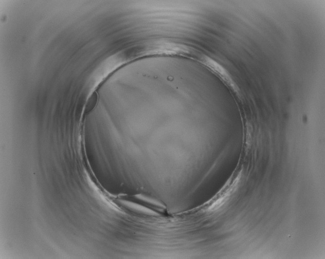 X0000066000802200603172204