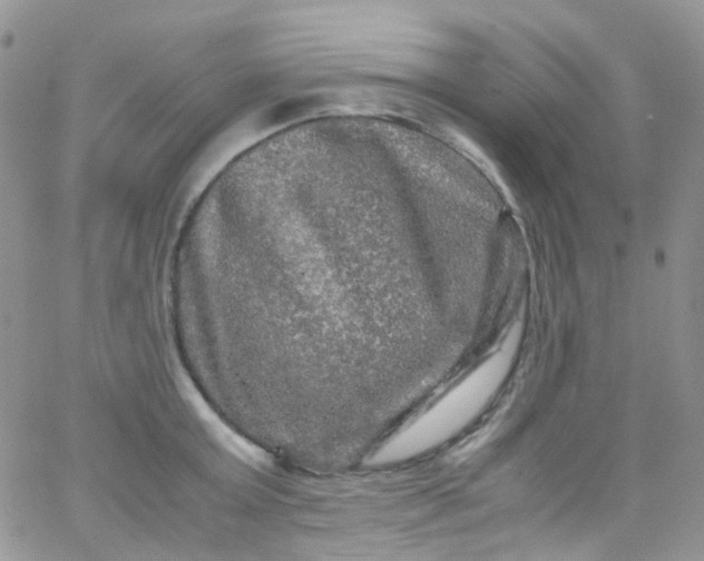 X0000066000803200603172204