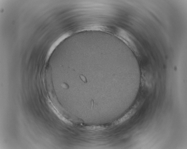 X0000066000804200603172204