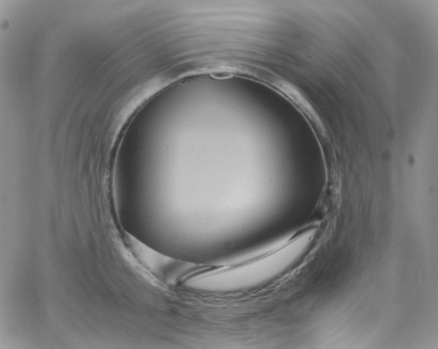 X0000066000805200603172204