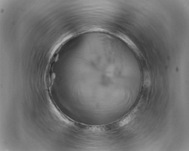 X0000066000806200603172204