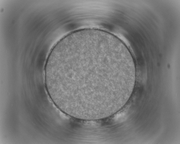 X0000066000807200603172204