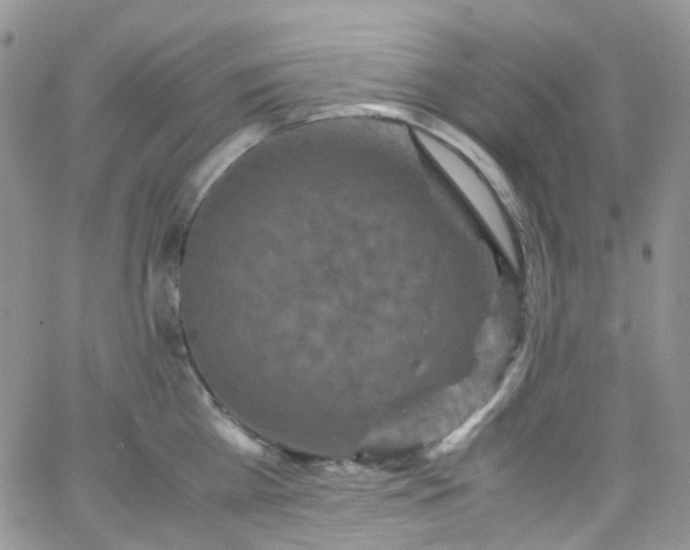 X0000066000809200603172204