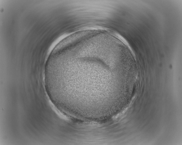 X0000066000811200603172204