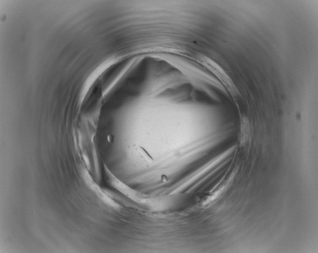 X0000066000812200603172204