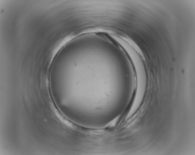 X0000066000813200603172204