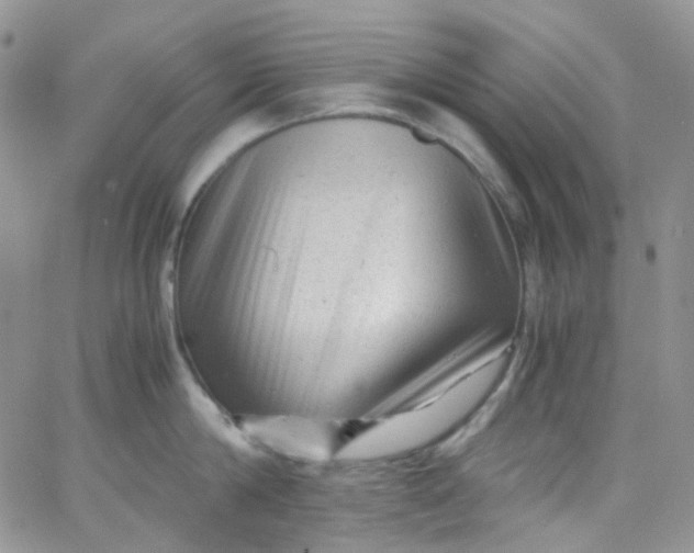 X0000066000814200603172204