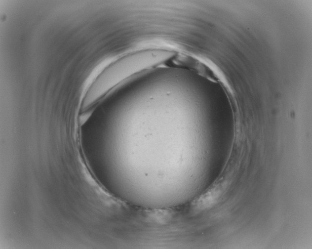 X0000066000815200603172204