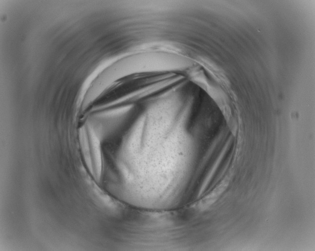 X0000066000816200603172204