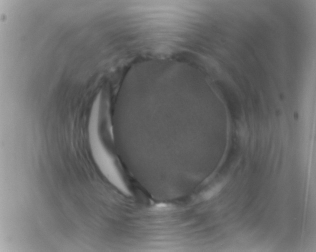 X0000066000818200603172203