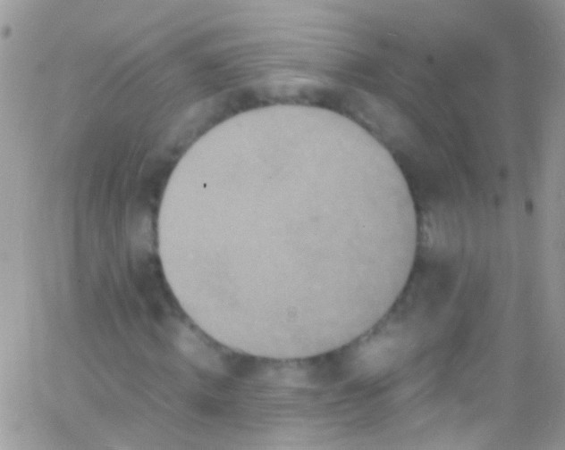 X0000066000820200603172203