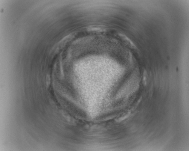 X0000066000821200603172203