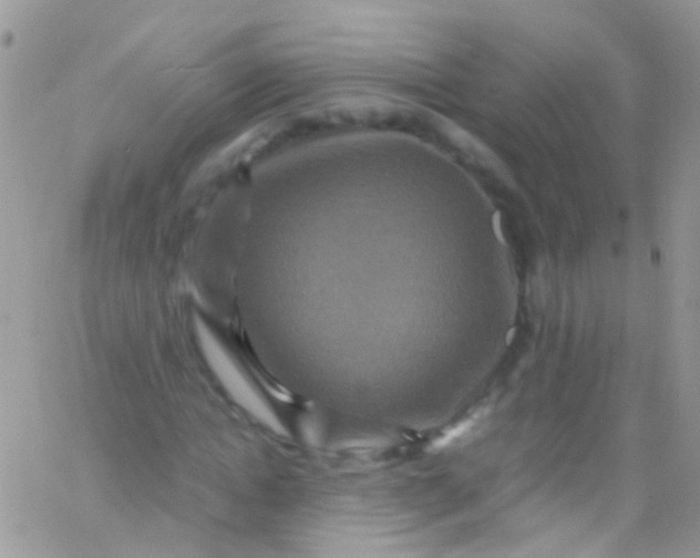 X0000066000822200603172203