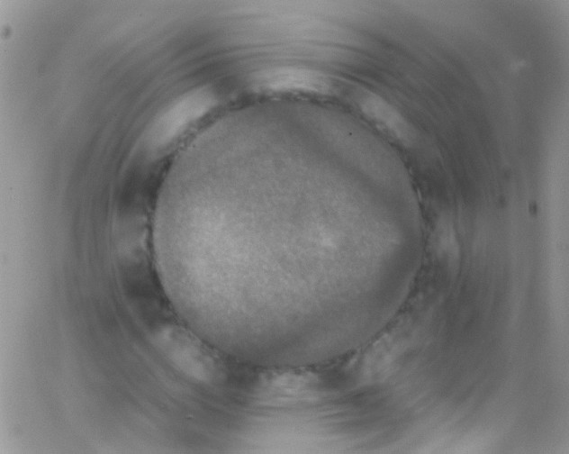 X0000066000824200603172203