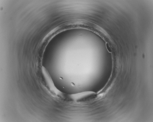 X0000066000826200603172203