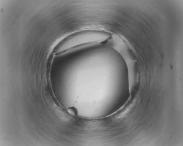 X0000066000830200603172203