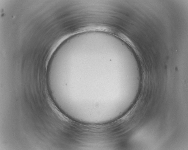 X0000066000836200603172203