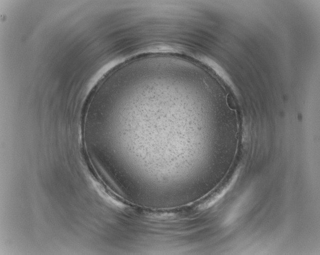 X0000066000837200603172203