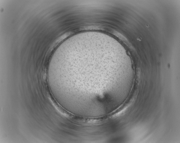 X0000066000841200603172203