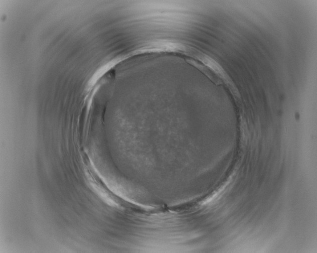 X0000066000842200603172203