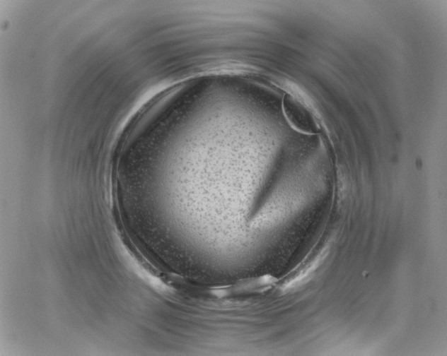 X0000066000843200603172203