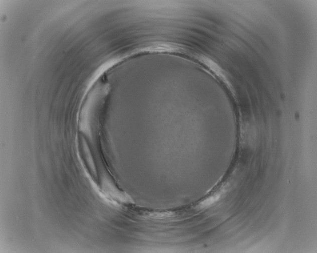 X0000066000845200603172203