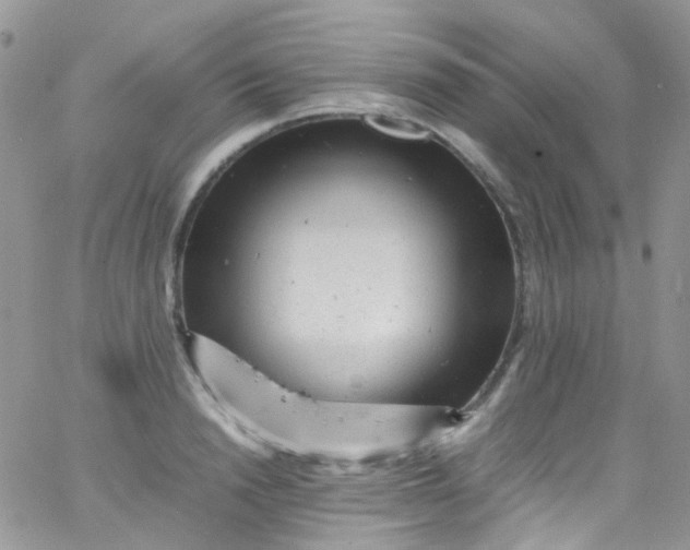 X0000066000846200603172203