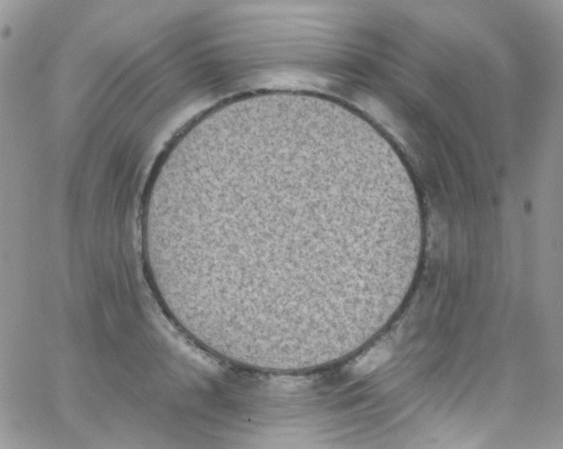 X0000066000848200603172203