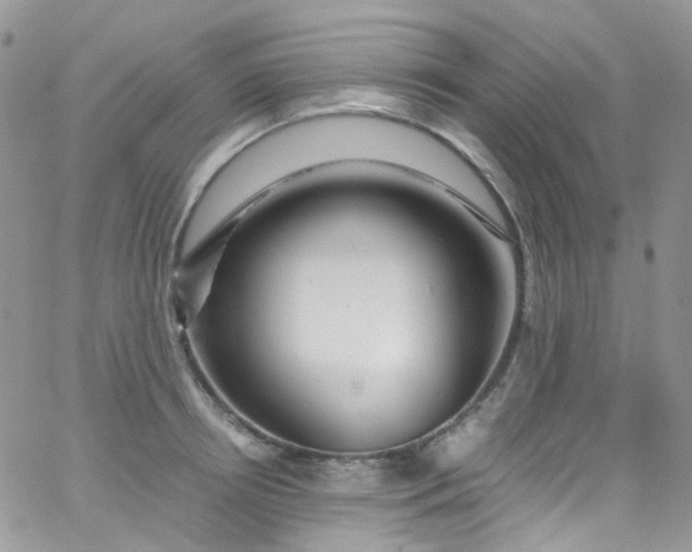 X0000066000850200603172203