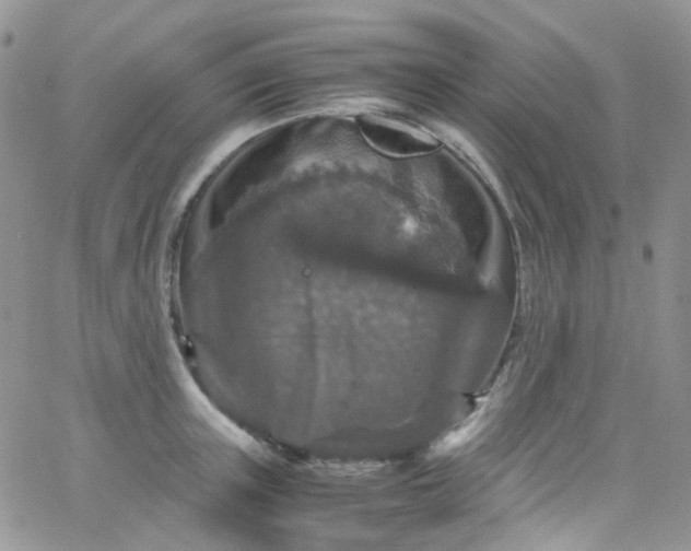 X0000066000851200603172203