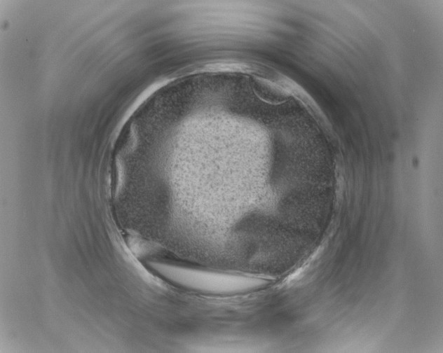 X0000066000852200603172203