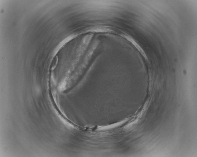 X0000066000853200603172203