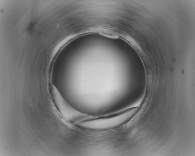 X0000066000854200603172203