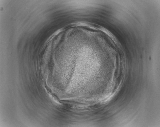 X0000066000857200603172203