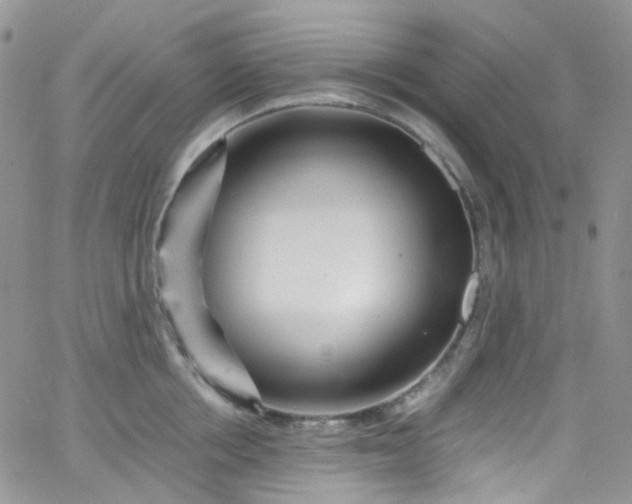 X0000066000858200603172203