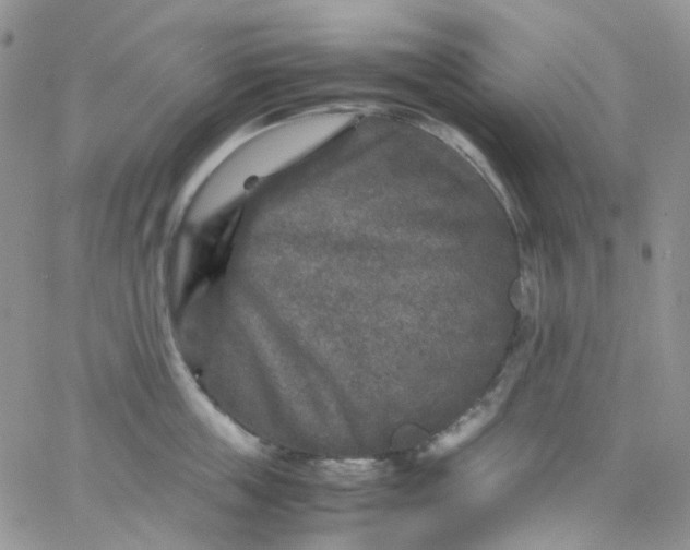 X0000066000859200603172203