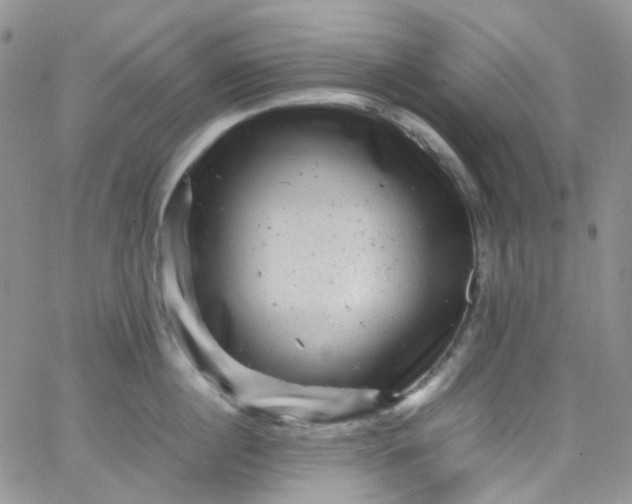 X0000066000860200603172203