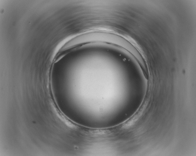 X0000066000862200603172204