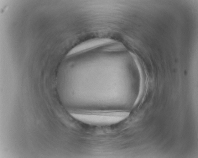 X0000066000865200603172203